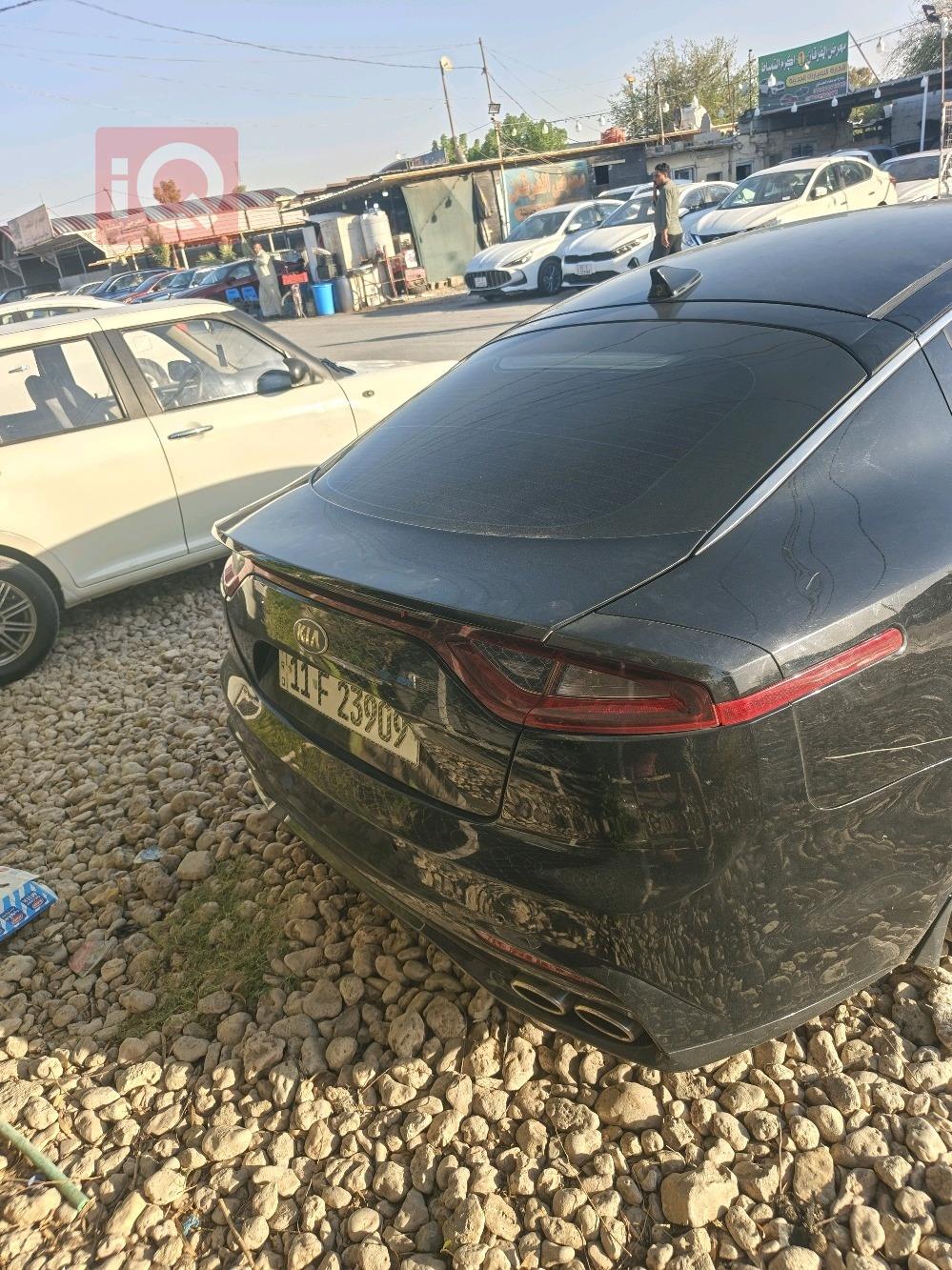 کیا ستینگەر